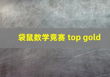 袋鼠数学竞赛 top gold